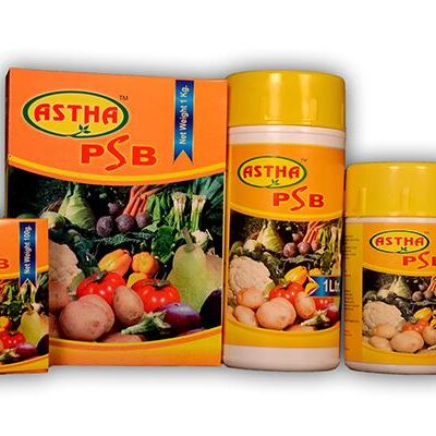 Astha PSB Bio Fertilizer - Unleash the Power of Phosphate Solubilising Bacteria for Remarkable Plant Growth