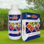 Astha AZO Bio Fertilizer for Improved Plant Growth