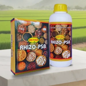 Astha RHIZO-PSB: Rhizobium and PSB Bio Fertilizer