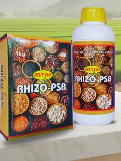 Astha RHIZO-PSB: Rhizobium and PSB Bio Fertilizer