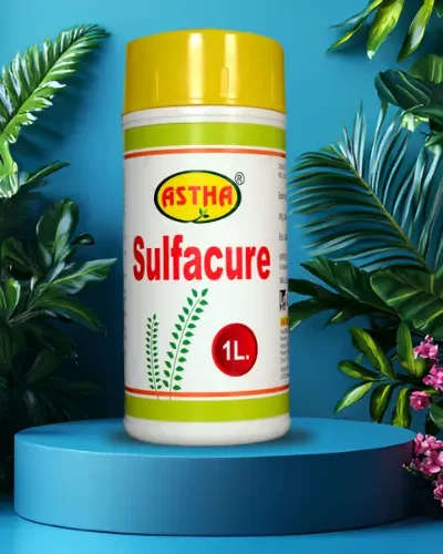 Astha Sulfacure: Contact Fungicide and Acaricide