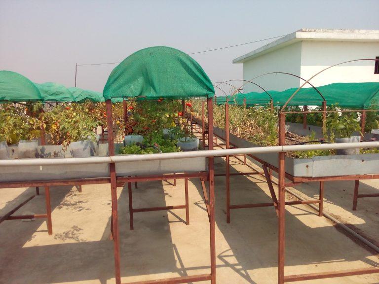 Astha Roof Shade Garden