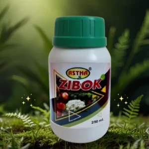 Astha Zibok For Fruits and Flowers Drop Prevention