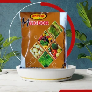 Natural Boron Supplement: Astha MAX BOR Fertilizer
