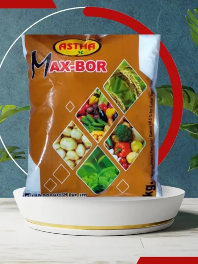 Natural Boron Supplement: Astha MAX BOR Fertilizer