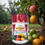 Astha Orchard Special micronutrient solution for improved fruit yield and quality.