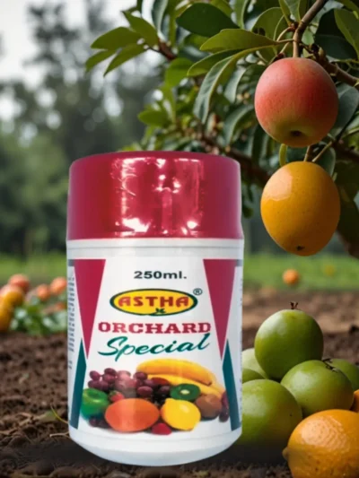 Astha Orchard Special micronutrient solution for improved fruit yield and quality.