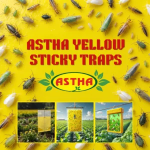 Astha Yellow Sticky Trap for organic pest control - 20 pieces set